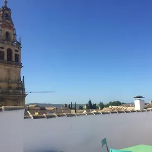 Apartment Entre 2 Mezquitas 8 